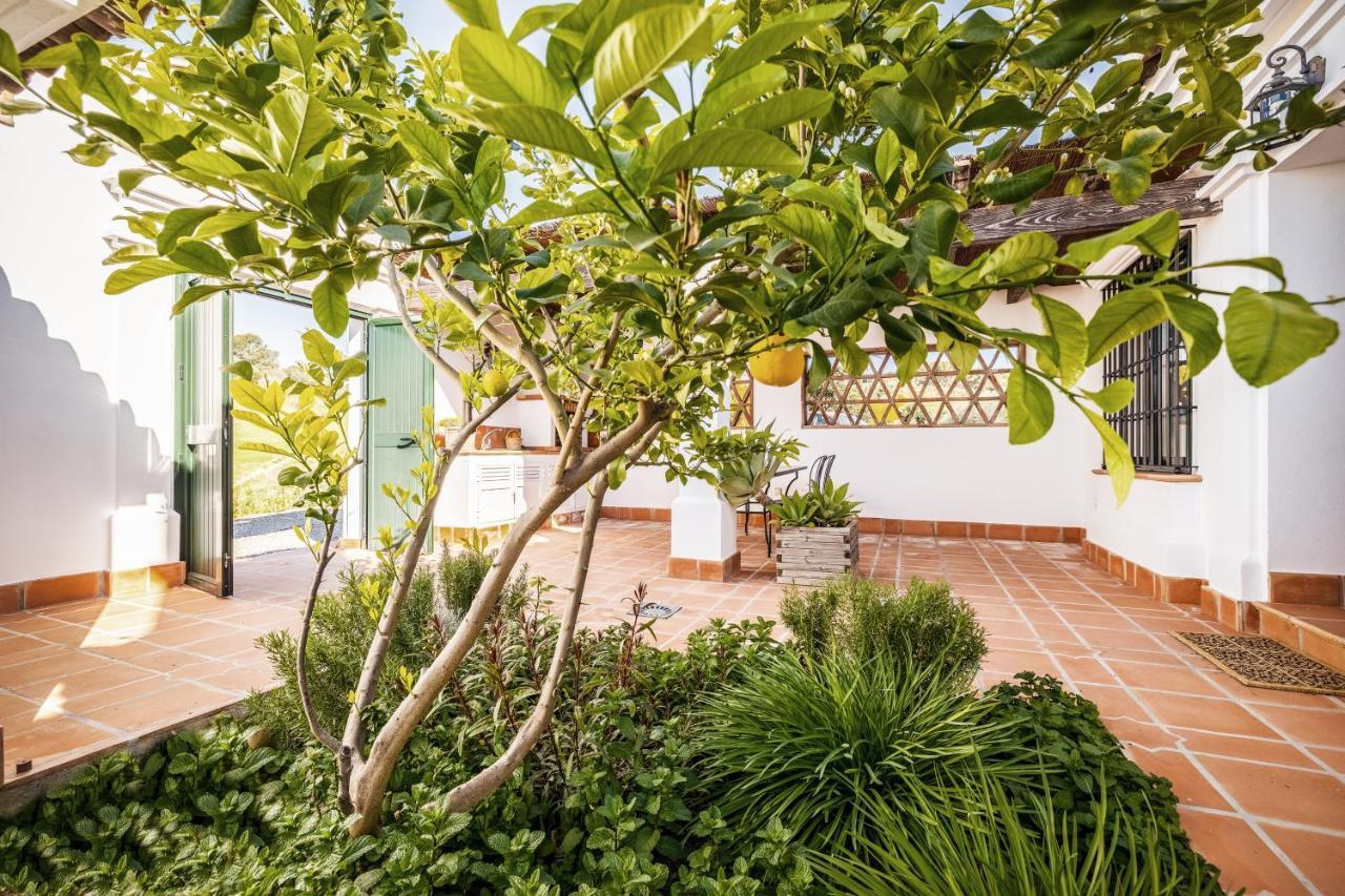 Casa Maurus By Rosas Cantares Pizarra Exteriör bild